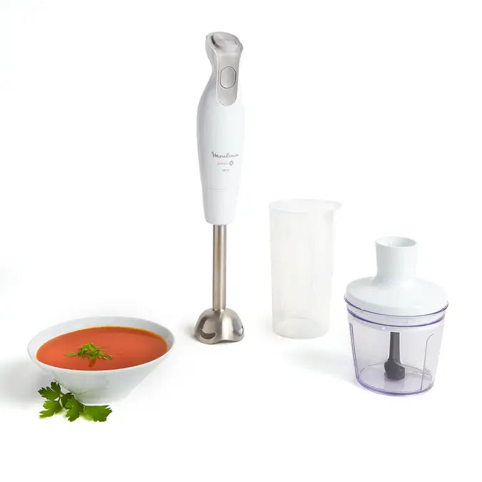 Mixeur Plongeant DailyChef 600W