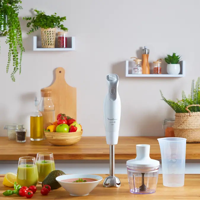 Mixeur Plongeant DailyChef 600W