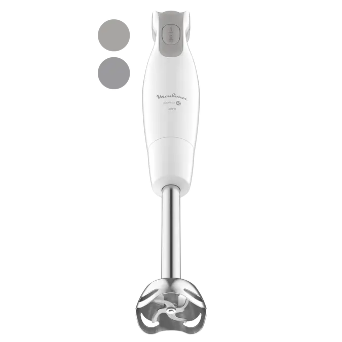 Mixeur Plongeant DailyChef 600W